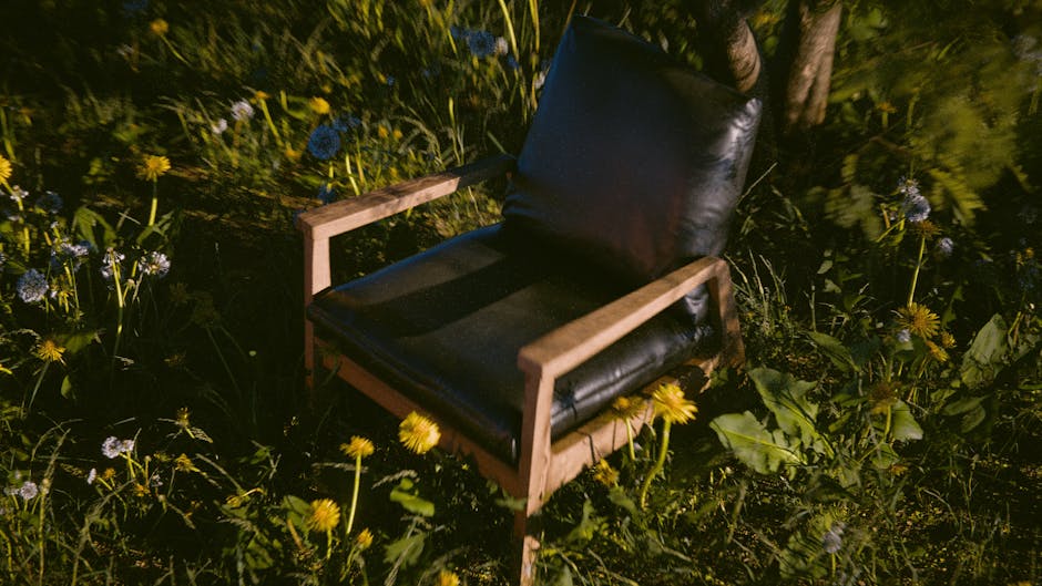 Nature Meditation